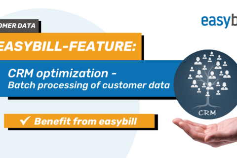 Header image for blog for batch processing of customer data