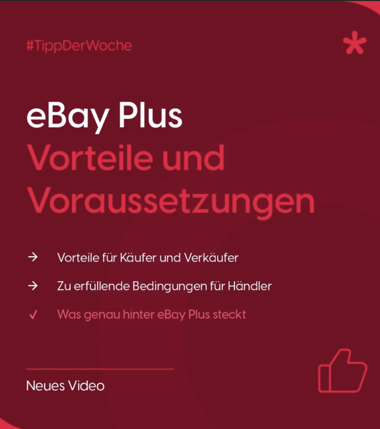 Vorteile und Voraussetzungen von eBay Plus detailliert dargestellt